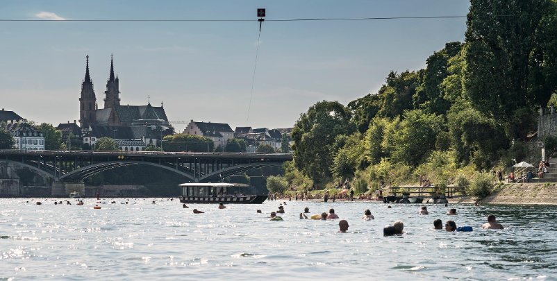 Ein Foto vom Rhein Summer. Viele Köpfe neigen aus dem Wasser und schwimmen dem Rhein entlang mit ihren Wickelfischen. Die Sonne strahlt auf die Stadt herab. Auf dem rechtem Ufer blühen alle Bäume prächtig in grün.